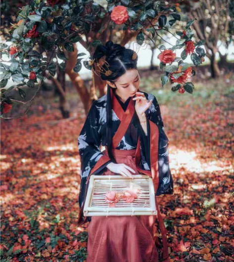 包邮兰若庭 朱墨 魏晋风汉服 L上襦两件套...