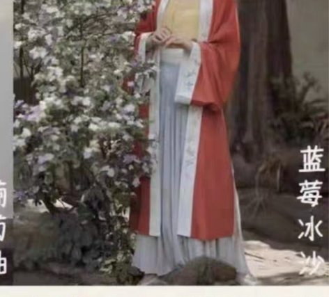 转卖兰若庭 汉服 宋制 百迭  渐变 绣花...