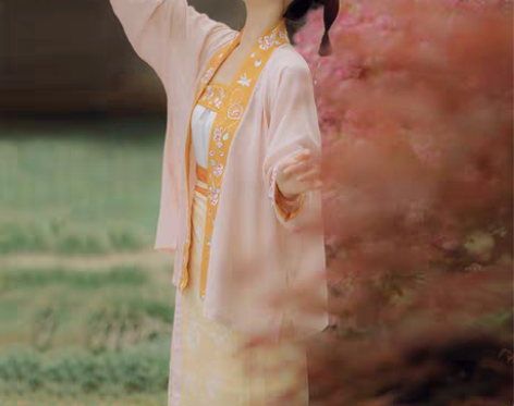 转卖仙楚姬原创汉服女正品【初欢】宋制对襟飞...