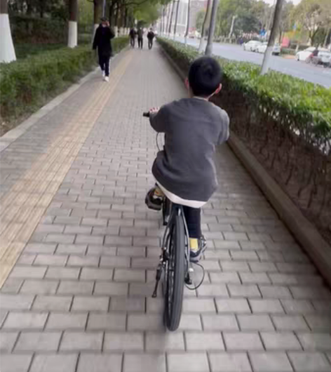 凤凰(phoenix)镁合金儿童自行车6-...