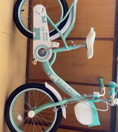 18寸飞鸽儿童自行车，9.9新，带辅助轮，...