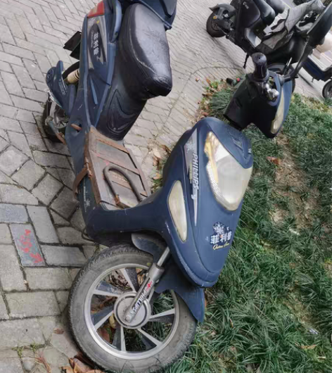 菲律普电动车，老国标~因 长期不使用，成色...