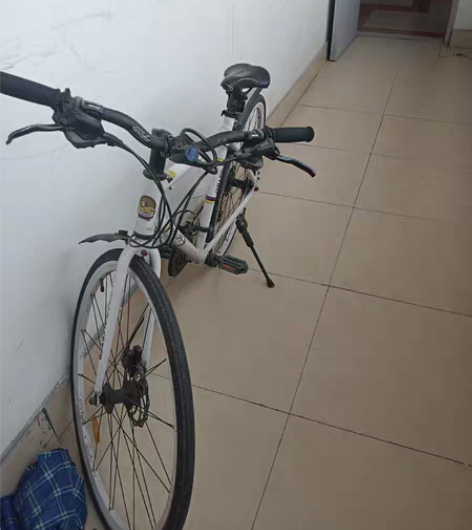 自行车，菲利普铝合金车架，永久的油刹，成色...