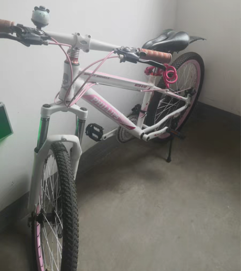 24自行车,孩子上学,新旧看图,自提 感兴...