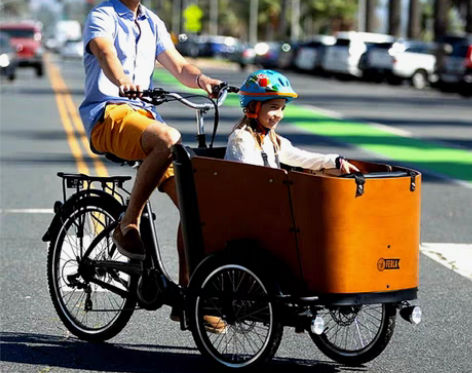 转卖抖音泽西岛同款倒三轮自行车欧洲畅销电动...