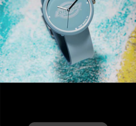 包邮Dickies旗舰店时尚潮流女表手表皮...