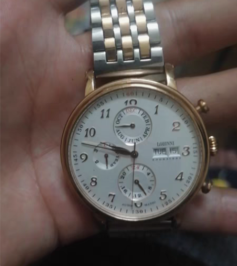 包邮罗宾尼男士手表男品牌防水多功能机械表真...