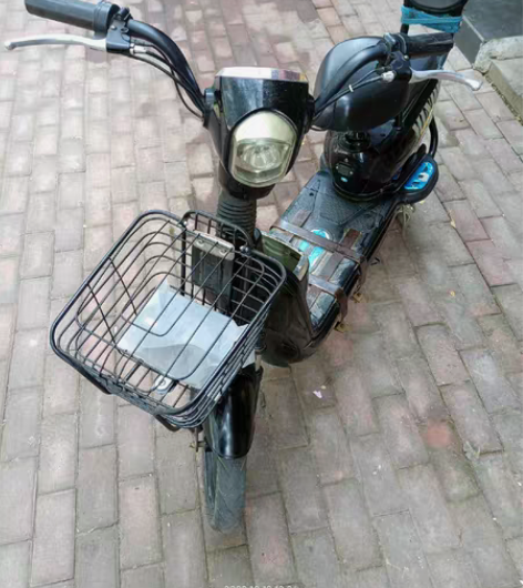 品牌型号 ：飞鸽（48伏20安电池） 新旧...