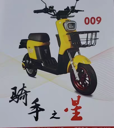 五羊009五代最正宗的新国标009,防短路...