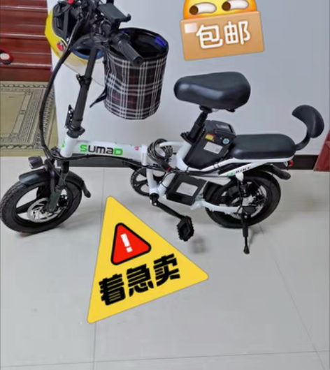 包邮【电动车可上牌】德国名顶电动车 成人代...