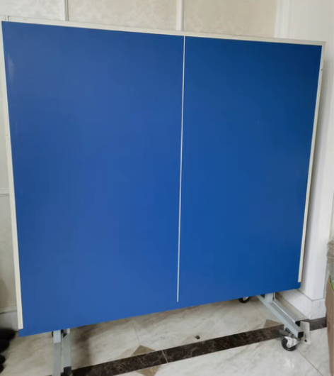 转卖9成新，红双喜  TM2023 家用折...