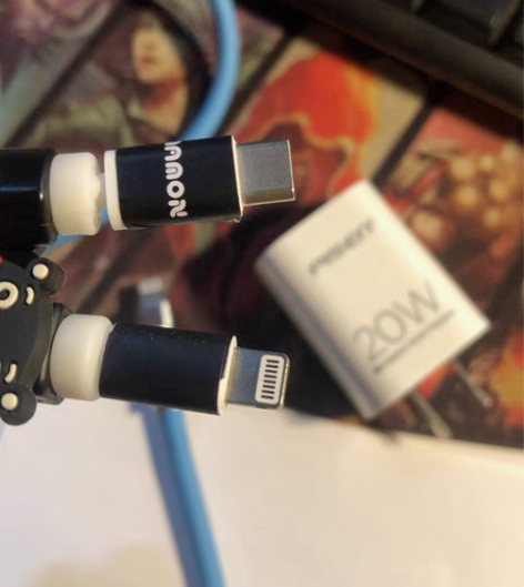 品胜全新20w充电器，因为购买原装充电器套...