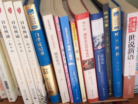 初中语文名著读物：白洋淀纪事 傅雷家书 朝...