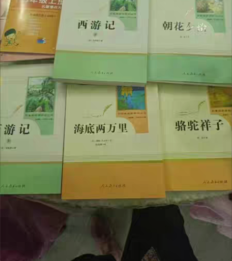 包邮朝花夕拾西游记镜花缘猎人笔记白洋淀纪事...