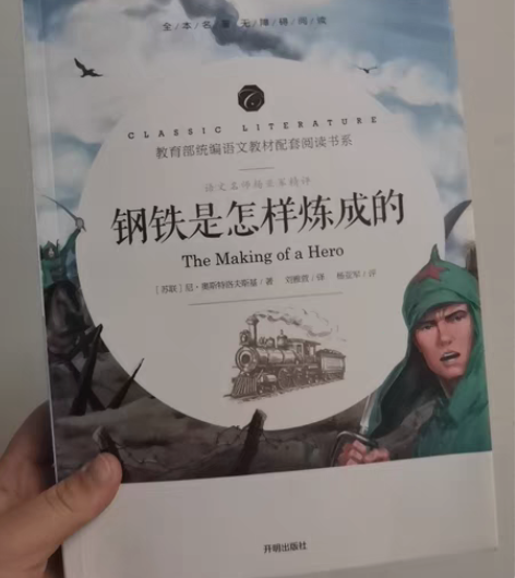钢铁是怎样炼成的 初中必读科目 有轻微使用...