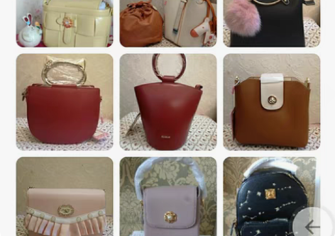 全新欧时纳纽芝兰女包，带图寻价。 感兴趣的...