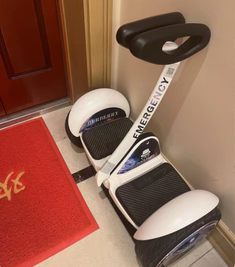 九号出行平衡车， 如图，9成新。感兴趣的可...