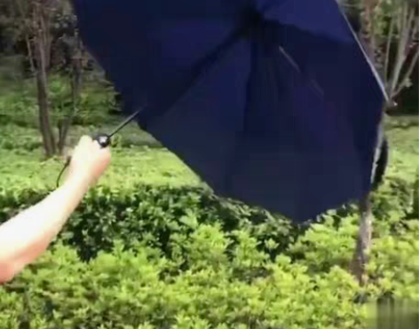 包邮全自动大号学生帅气雨伞男女超大折叠晴雨...