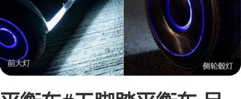 平衡车#无脚踏平衡车 品牌九号 95新 还...