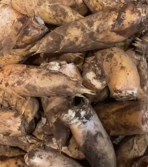 宜兴太华本地笋。 感兴趣的话点“我想要”和...