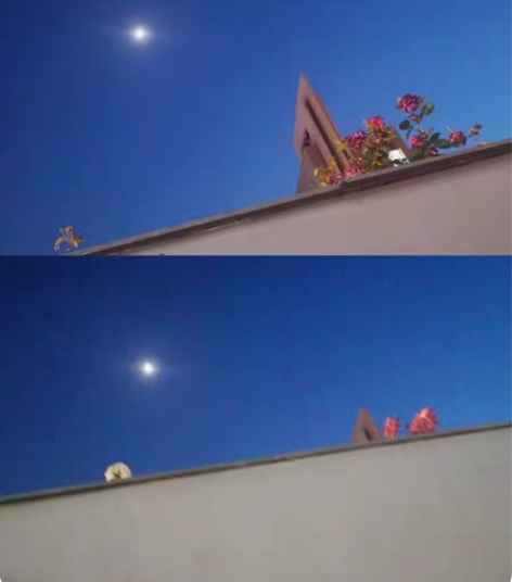 蹲蹲一个公孙离祈雪灵祝的号 安卓q区的最好...