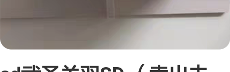 sd武圣关羽SD (卖出去了)龙尊刘备 s...