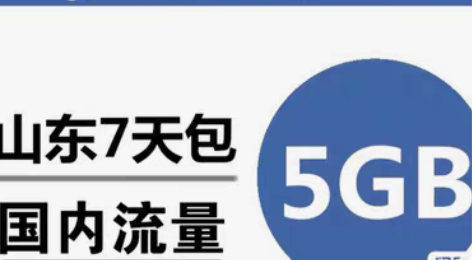包邮全新山东移动手机流量充值5GB 全国通...