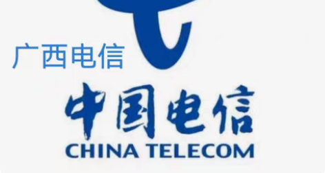 代开  广西电信流量包 19元8G流量包加...