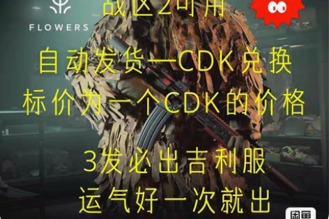 使命召唤19  COD19吉利服  牛肉干...