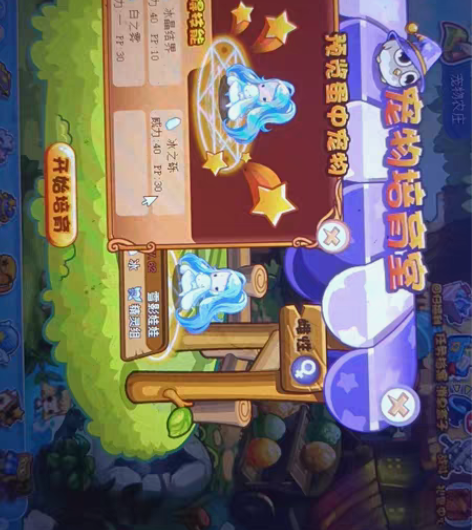 包邮洛克王国纯种，必母，纯种大耳 雪影娃娃...