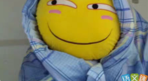 php开发、前后端开发、程序代做,软件开发...