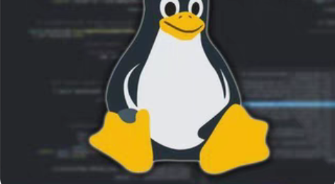 Linux 个人运维,可帮搭建环境,部署服...