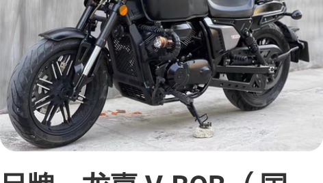 品牌：龙嘉 V-BOB （国四） 车型：美...