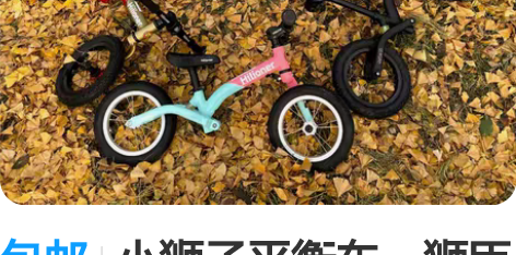 包邮小狮子平衡车,狮臣纪滑步车儿童平衡车 ...