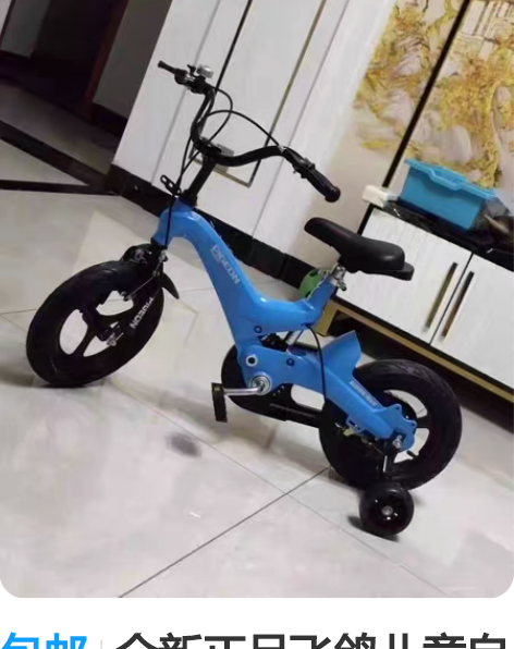 包邮全新正品飞鸽儿童自行车童车男孩女孩2-...