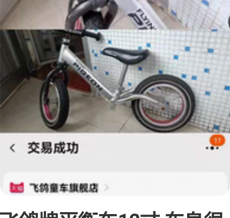 飞鸽牌平衡车12寸 车身很轻，速度还行！目...