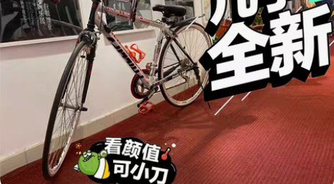 菲利普公路车 10年前买的 骑过6次 就再...