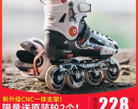 转卖美洲狮 溜冰鞋成人直排轮旱冰鞋全套装轮...