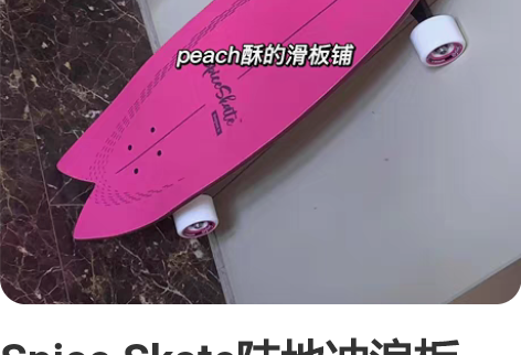 Spice Skate陆地冲浪板 一个来自...