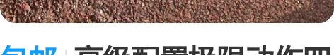 包邮高级配置极限动作四轮初学者组装男女生双...
