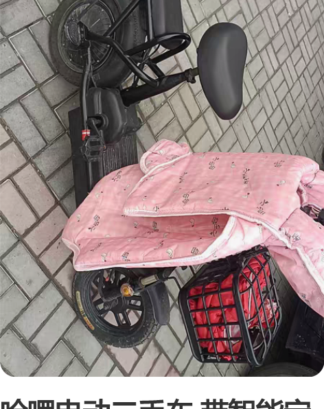 哈啰电动二手车 带智能定位开关锁系统 不用...