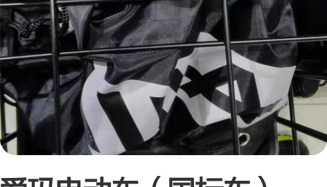 爱玛电动车（国标车），已上广州牌可配合过户...