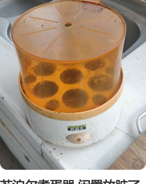 苏泊尔煮蛋器 闲置放脏了 清洗了还能用 感...