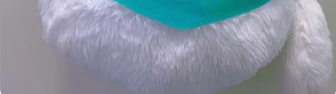 【自刀出】光与夜之恋，齐司礼狐狸包现货，是...