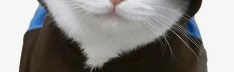 711+欲海77亚克力+婚谷麻将+婚谷吧唧...