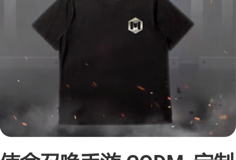 使命召唤手游 CODM  定制T恤（小印花...