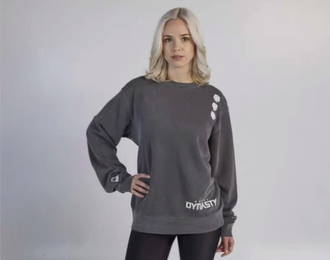 守望先锋联赛 首尔王朝 卫衣 美码m 宽松...