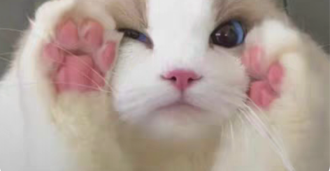 IOS！IOS！yys痒痒鼠蓝牙赠送6星式...