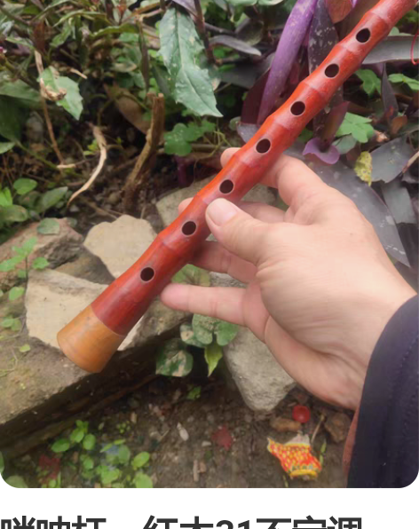 包邮初学专业演奏级唢呐D调门齐全红木乌木黑...