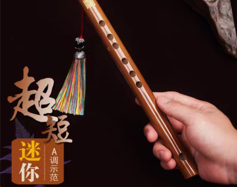 转卖袖珍笛迷你短笛子横笛学生入门竹笛初学者...